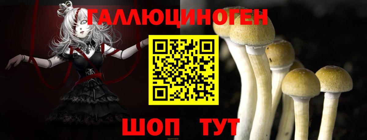 Воскресенск  Псилоцибиновые грибы Psilocybe  Псилоцибиновые грибы прущие грибы  Вход с VPN 